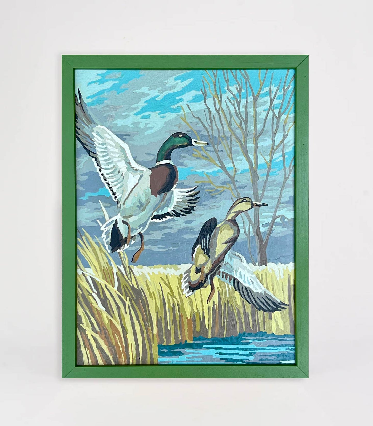 Ducks