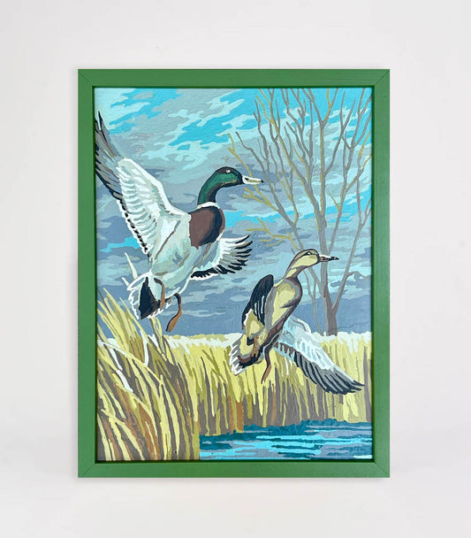 Ducks